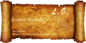 Ludik Olivér névjegykártya